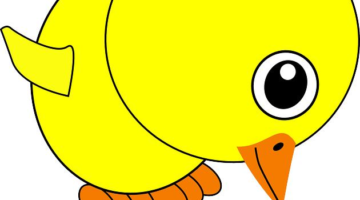 Jak vybrat správné stavební materiály