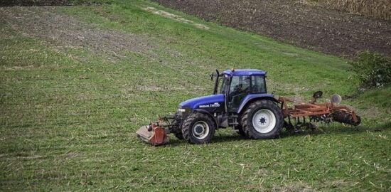 Jak pěstovat kaktusy: rady a tipy