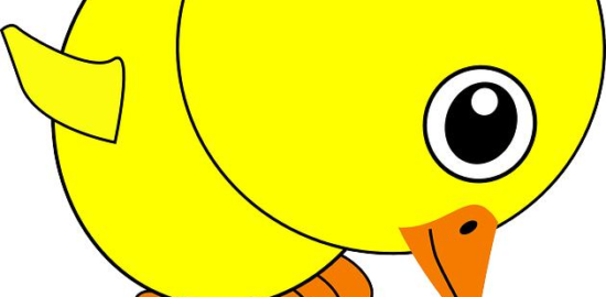 Jak vybrat ten správný květináč