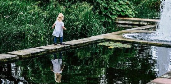 Jak pečovat o zahradu: rady a tipy