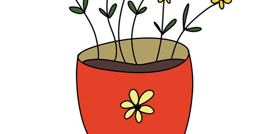 Jak vybrat správný květináč