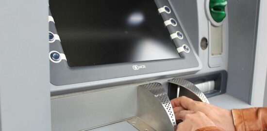 Jak správně vybírat hnojivo pro různé rostliny