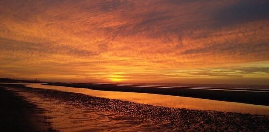 Výhody a použití bylinek