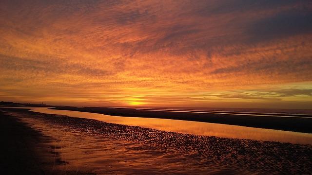 Výhody a použití bylinek