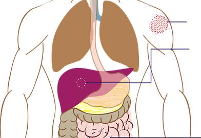 Jak poznat příznaky nemoci – návod