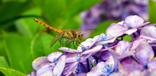 Jak vybrat správné hobby – rady a tipy