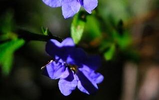 Jak zvládnout alergie: rady a tipy