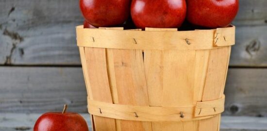 Jak vybrat správné hnojivo pro vaše rostliny