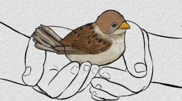 Jak se chránit před AIDS? – Informative