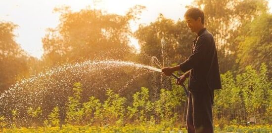 Jak správně zalévat zahradu?