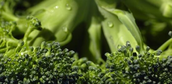 Jak vybrat nejlepší potraviny: Průvodce nákupem