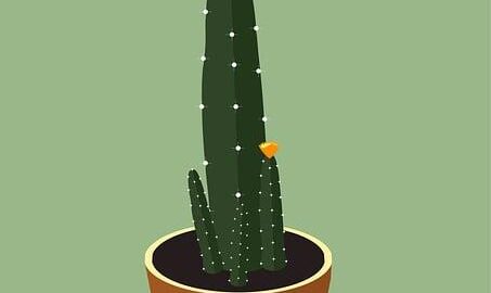 Jak si doma vyrobit dřevěný květináč