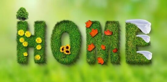 Jak si doma vyrobit ptačí budku