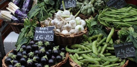 Jak správně vybrat robotický vysavač