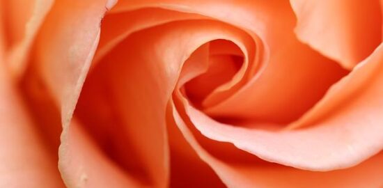 Láska na dosah: Jak najít toho pravého?