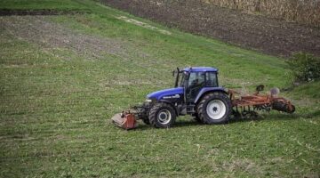 Jak pěstovat exotické ovoce ve skleníku