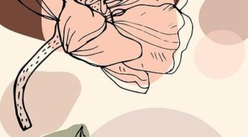 Moderní trendy v zařizování kuchyně 2023