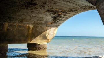 Základy zdravé výživy pro každodenní život