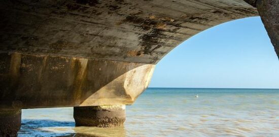 Základy zdravé výživy pro každodenní život