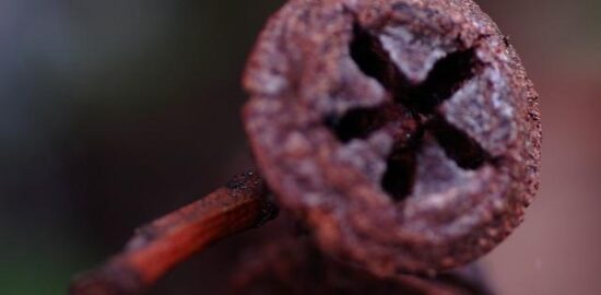 Jak se vyrovnat s nedorozuměními ve vztazích