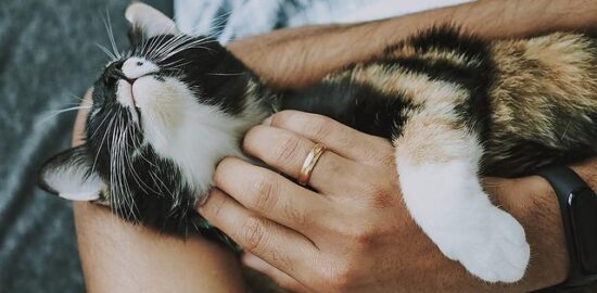 Tipy pro péči o zahradu