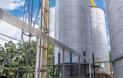 Jak na ideální skladování potravin?