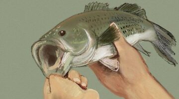 Jak najít nové hobby – Informative