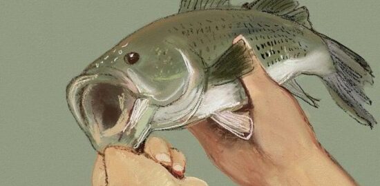 Jak najít nové hobby – Informative