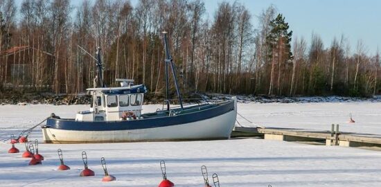 Jak správně uskladnit ovoce doma