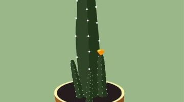 Jak vybrat nejlepší květináč pro vaše rostliny