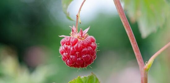 Jak vybrat správné spotřebiče?