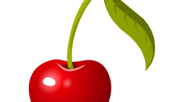 Ovoce: Informative článek