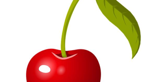 Ovoce: Informative článek