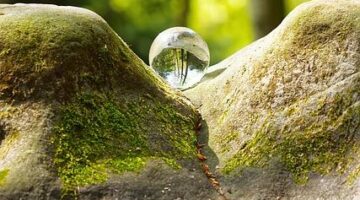 Základy zdravé výživy pro každý den