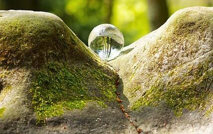 Základy zdravé výživy pro každý den