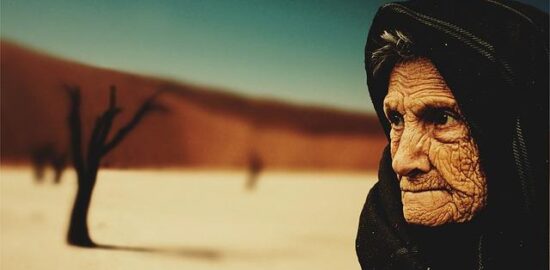 Jak se starat o stromy: Informative rady a tipy