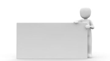 Jak poznat stromy: Informative rada pro začátečníky