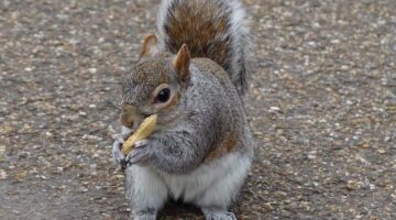 Jak vybrat ideální barvy pro váš byt