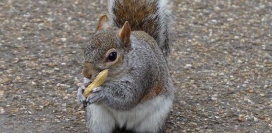 Jak vybrat ideální barvy pro váš byt