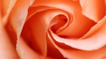 Hledání lásky ve světě moderního randění