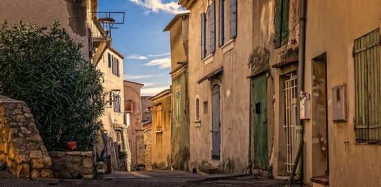 Jak se starat o stromy: Informative