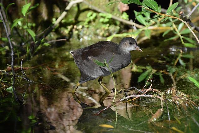Jak najít hobby, které vás bude bavit?