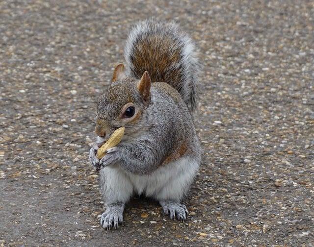 Jak vybrat nábytek pro malý byt?