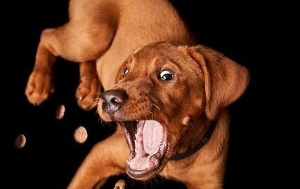 Jak léčit rýmu: Účinné metody a rady