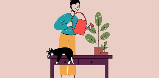 Jak správně zalévat zahradu