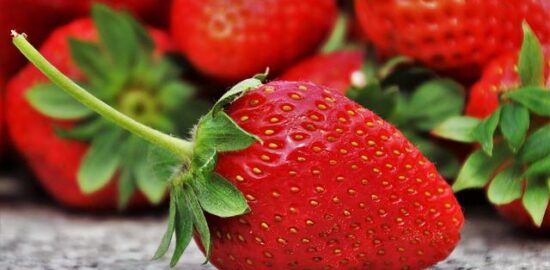 Zdravé snacky pro efektivní studium