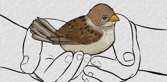 Jak se chránit před onemocněním AIDS