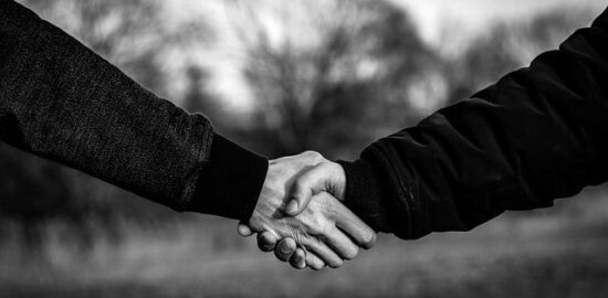 Jak poznat a pěstovat růže: průvodce pro začátečníky