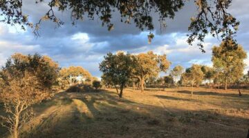 Jak nařídit ložnici