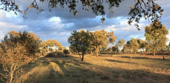 Jak nařídit ložnici